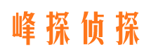 沙湾市婚外情调查